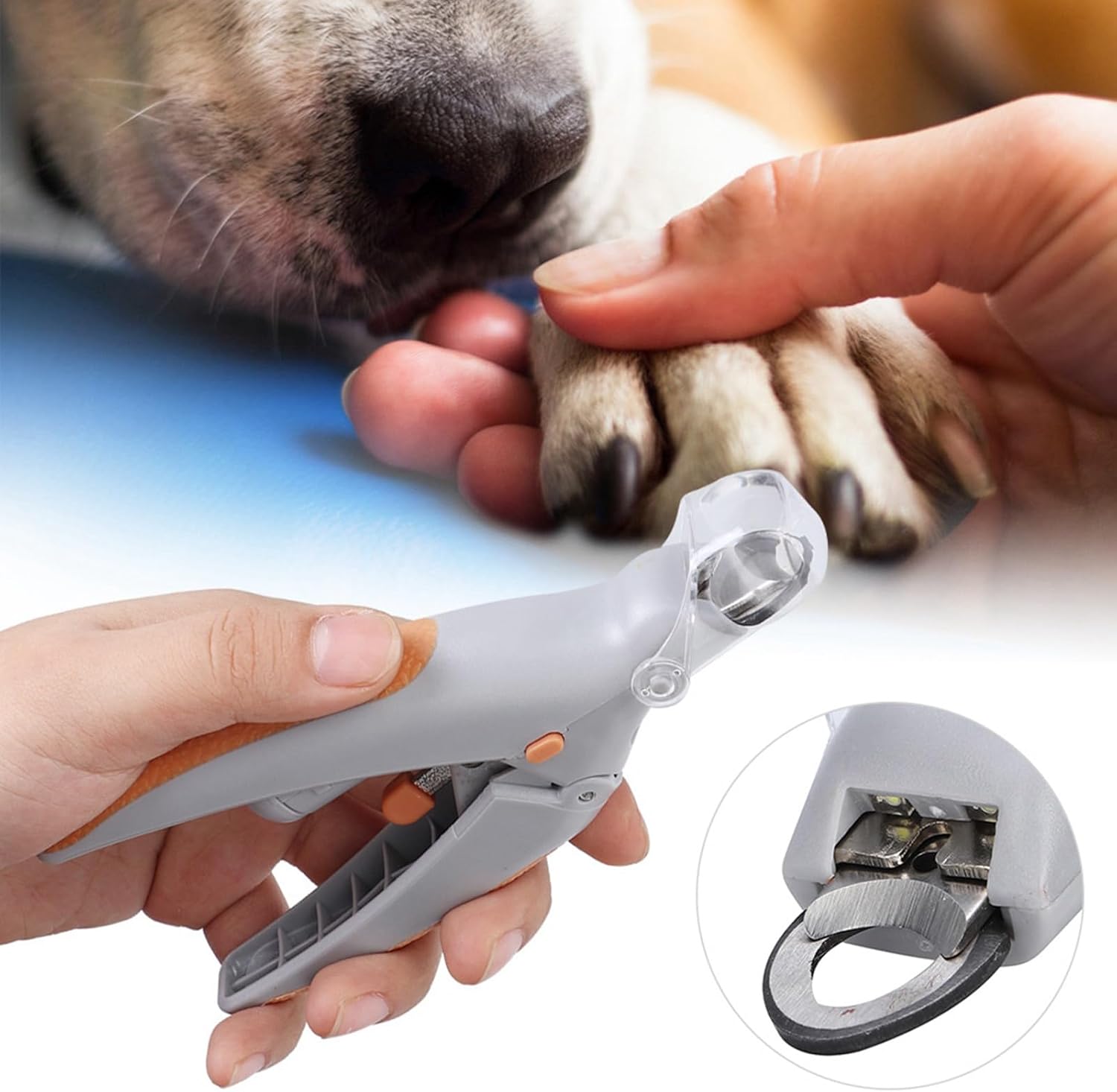 Corta Uñas Tijera para Mascotas Con Luz y Aumento Perros Y Gatos 